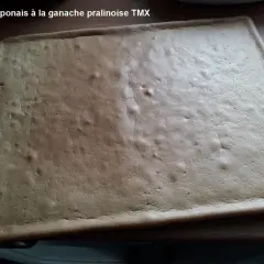 Gâteau roulé japonais à la ganache pralinée, prêt à être garni.