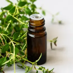 Une petite fiole ambrée, prête à contenir un précieux sirop de thym maison, entourée de brins frais de la plante.