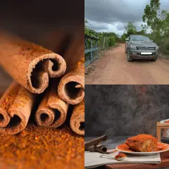 Bâtonnets de cannelle et poudre orange vif. Un véhicule sur une route de terre. Un plat de poulet épicé, par quoi remplacer la cannelle ?