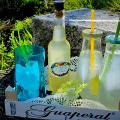 Bouteilles et verre remplis de sirop de sureau, prêts à déguster. Découvrez les bienfaits du sirop de sureau pour une boisson rafraîchissante et saine.