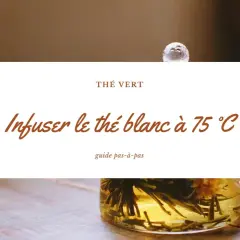 Infusion d'un thé vert délicat, le thé blanc s'épanouit à 75°C. Un guide pour savourer ce moment.