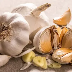 Ail, souvent vanté pour ses bienfaits, peut aussi présenter des dangers. Ici, des têtes d'ail et des gousses éparpillées.