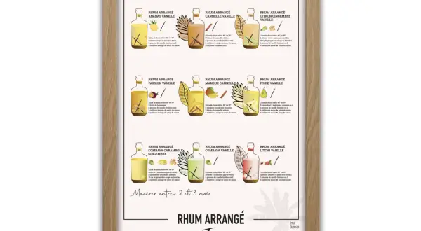 Affiche illustrant plusieurs recettes de rhum arrangé : ananas vanille, mangue cannelle, citron gingembre vanille, etc.