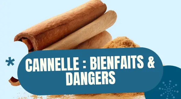 Bâtonnets et poudre de cannelle. Le texte indique "Cannelle : bienfaits & dangers", soulignant les dangers potentiels de cette épice.