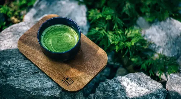 Tasse de matcha crémeux sur un plateau en bois, entourée de rochers et de verdure. Idéal pour des matcha recettes salées.
