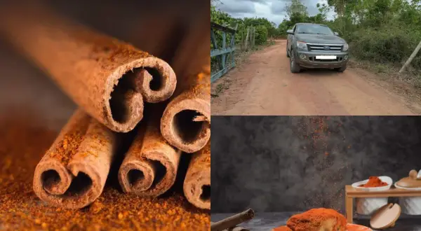 Bâtonnets de cannelle et poudre orange vif. Un véhicule sur une route de terre. Un plat de poulet épicé, par quoi remplacer la cannelle ?