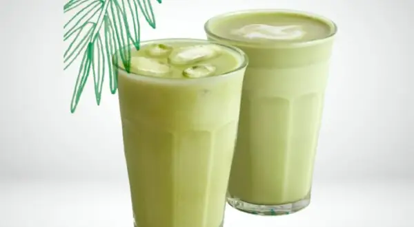 Deux verres de matcha lait de coco, l'un glacé avec des glaçons, l'autre onctueux, sous une feuille de palmier stylisée.