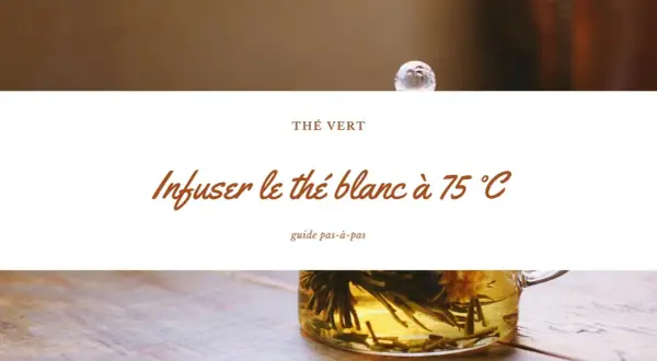 Infusion d'un thé vert délicat, le thé blanc s'épanouit à 75°C. Un guide pour savourer ce moment.