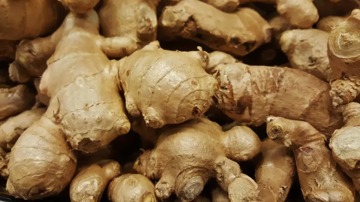 Gros plan sur des rhizomes de galanga, évoquant ses nombreux bienfaits pour la santé.
