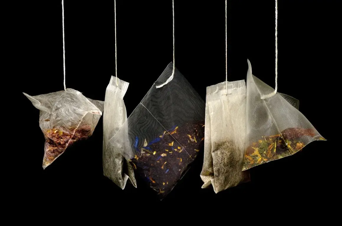 Cinq sachets de thé suspendus, révélant des mélanges variés de marc de thé et de fleurs séchées.