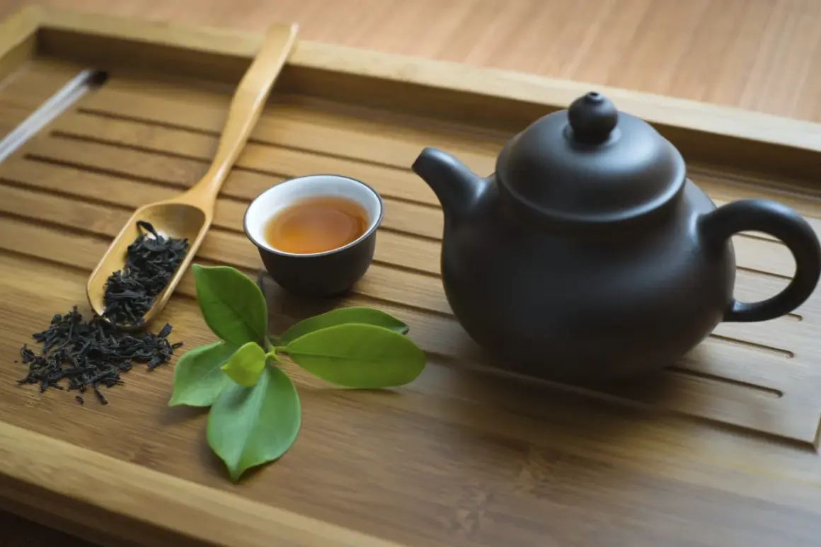 Service à thé en bambou avec théière noire, tasse de thé ambré, feuilles de thé et une branche de feuilles vertes. Parfait pour un thé sans théine.