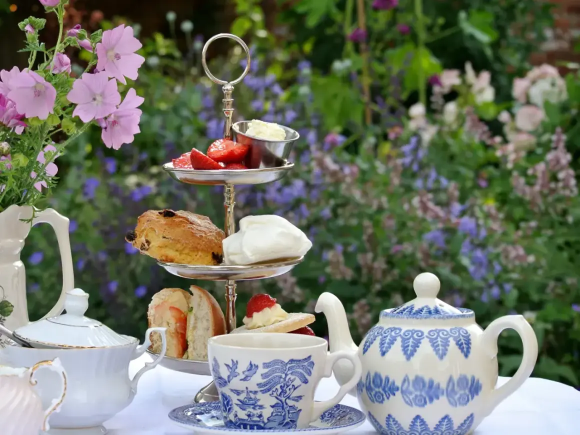 Un délicieux tea time en plein air avec scones, fraises et thé. Un moment de détente au jardin.
