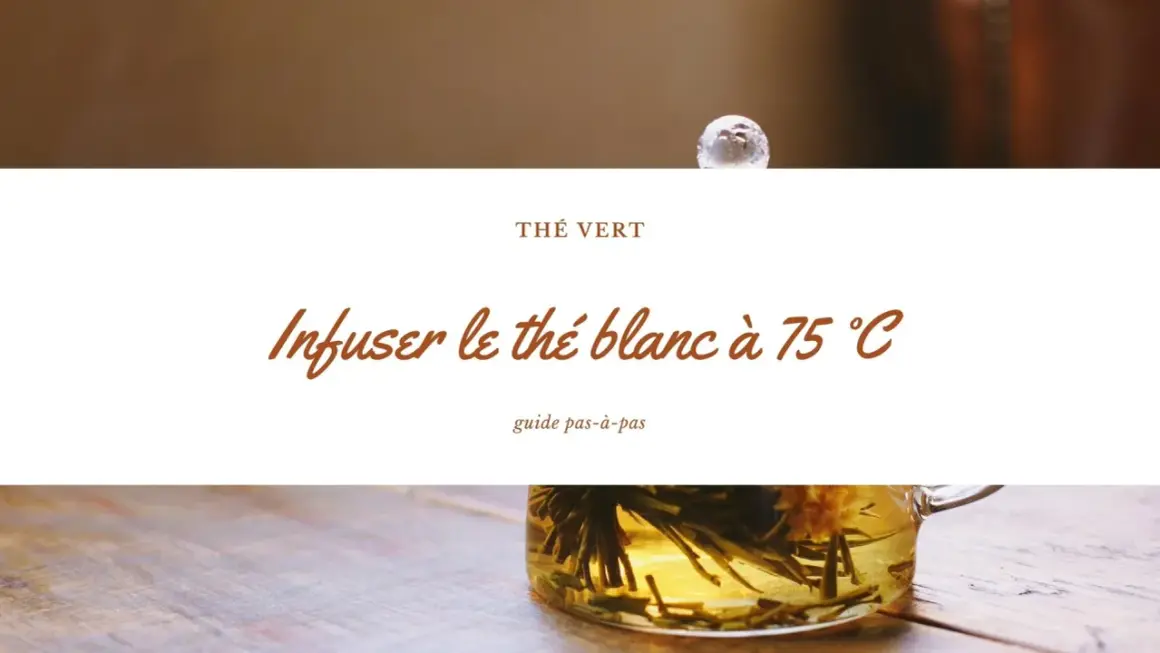 Infusion d'un thé vert délicat, le thé blanc s'épanouit à 75°C. Un guide pour savourer ce moment.