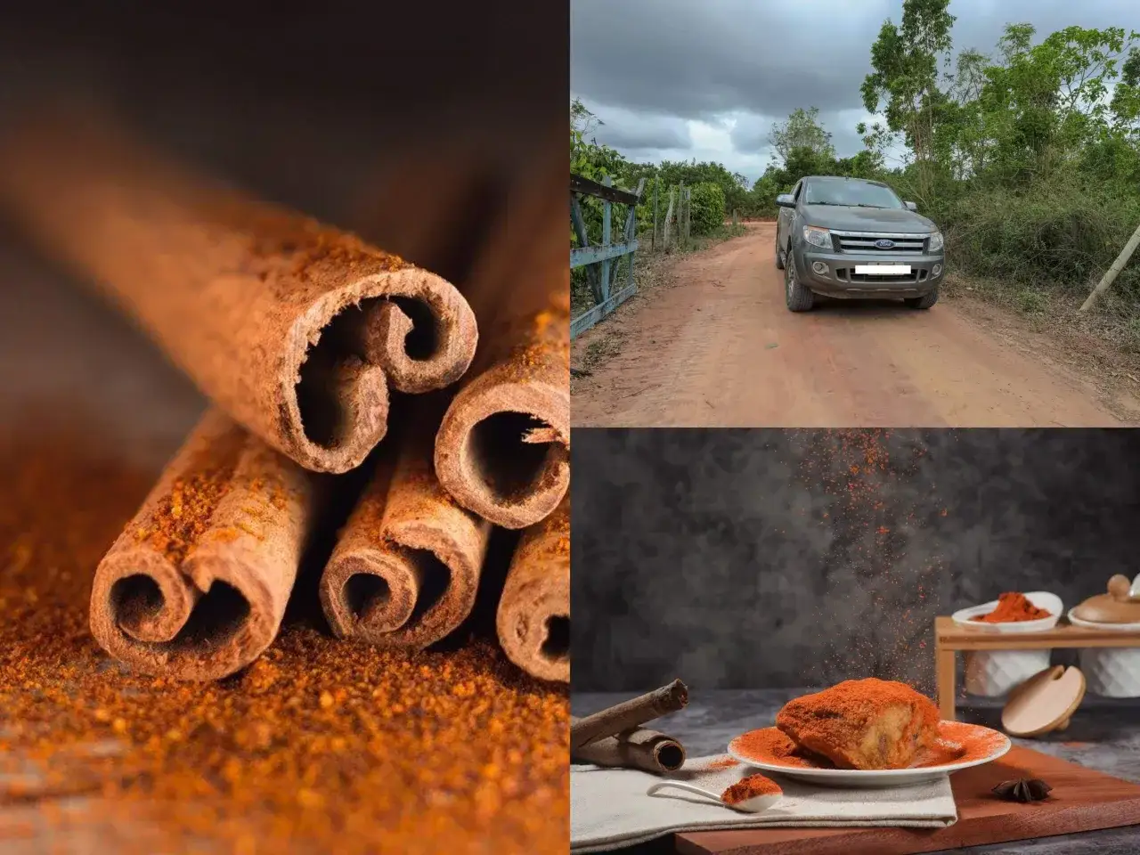B&acirc;tonnets de cannelle et poudre, un v&eacute;hicule sur une route de terre, et un plat de poulet &eacute;pic&eacute;. Par quoi remplacer la cannelle ?