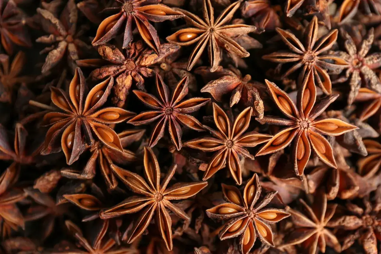 Gros plan sur des anis étoilés. Attention, l'anis étoilé japonais, ressemblant, est toxique.