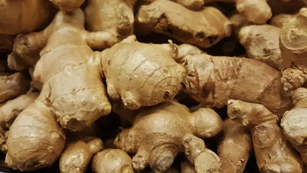 Gros plan sur des rhizomes de galanga, évoquant ses nombreux bienfaits pour la santé.