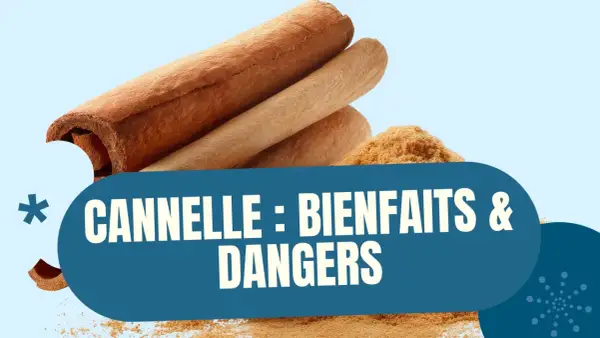 Bâtonnets et poudre de cannelle. Le texte indique "Cannelle : bienfaits & dangers", soulignant les dangers potentiels de cette épice.