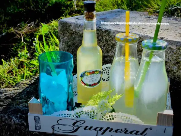 Bouteilles et verre remplis de sirop de sureau, prêts à déguster. Découvrez les bienfaits du sirop de sureau pour une boisson rafraîchissante et saine.